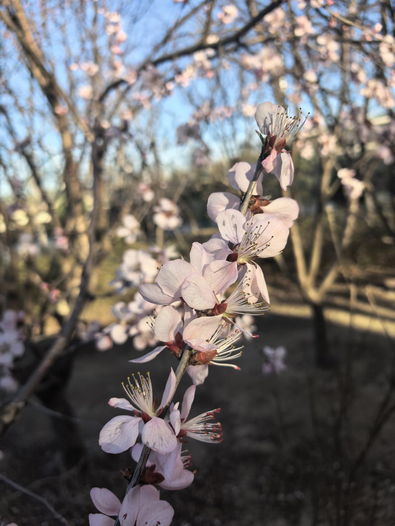 职场看风云
国际风云乱纷纷，
打工人看别较真。
老板骨干各盘算，
恰似职场一乾坤