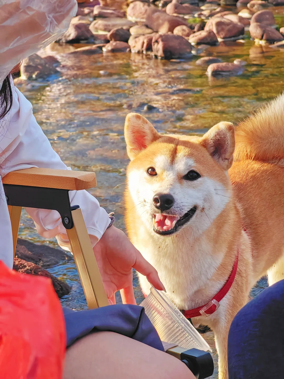 国庆反向出游 广东周边溯溪玩水 野生0💰