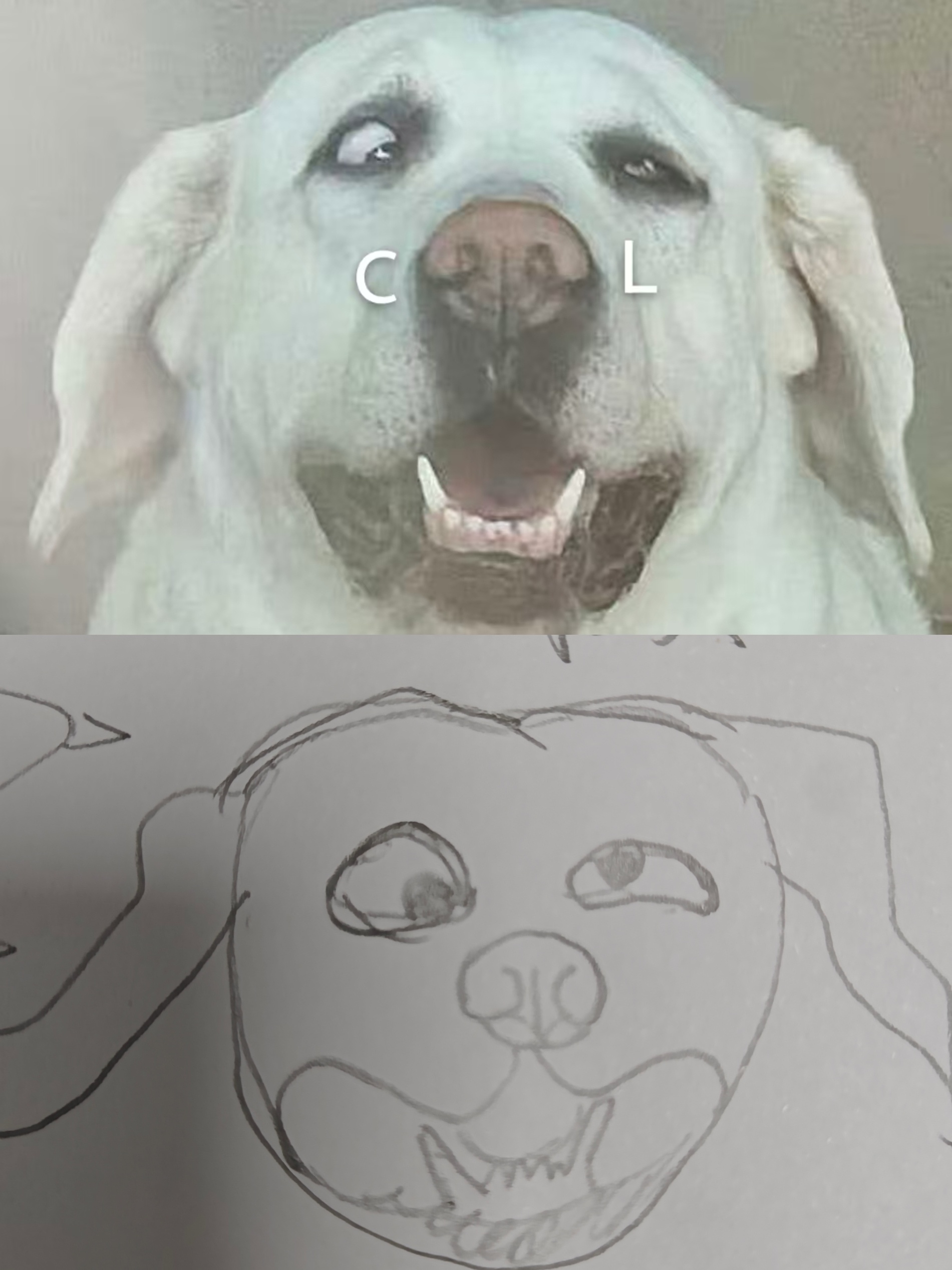 老师我这算是有绘画天赋吗（暂不考虑接稿） 