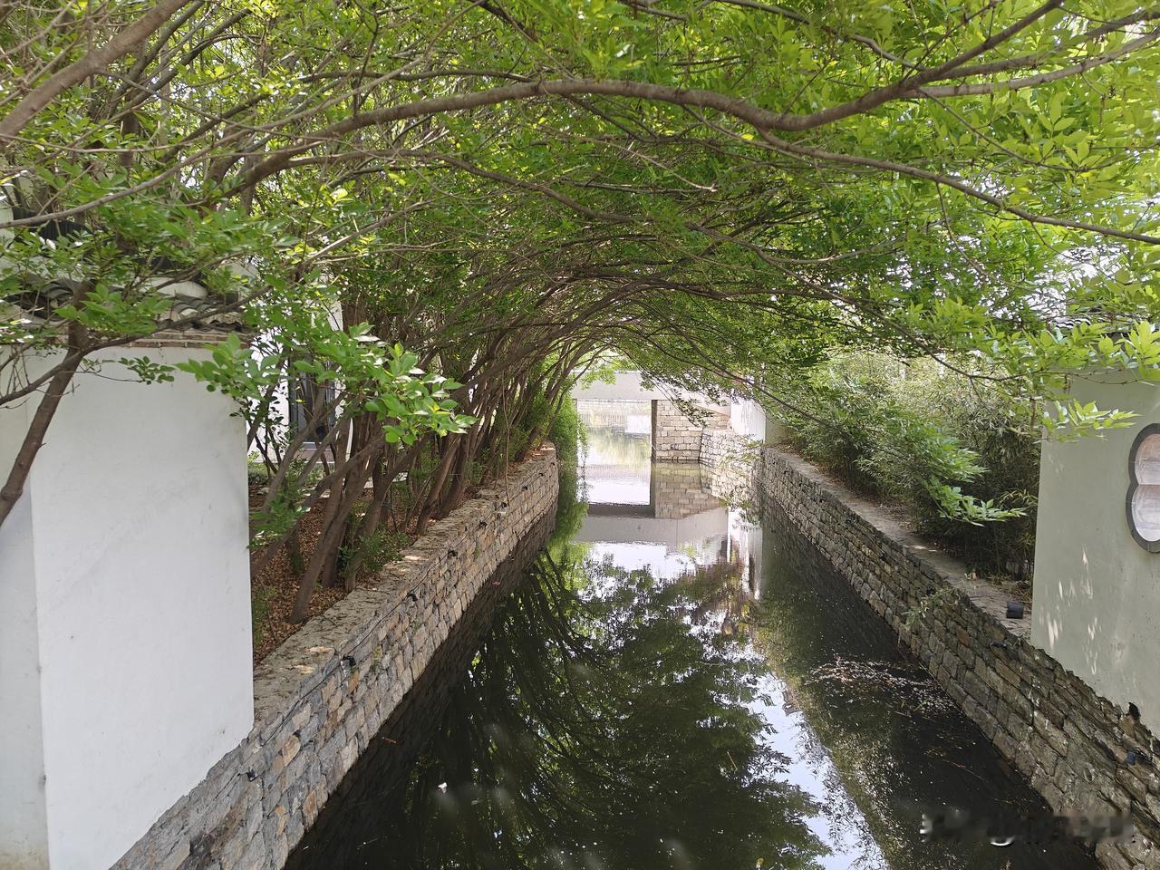 临沂河东还有这样的江南水乡景区！

今天朋友带我们到河东汤头观塘附近的一个叫温水