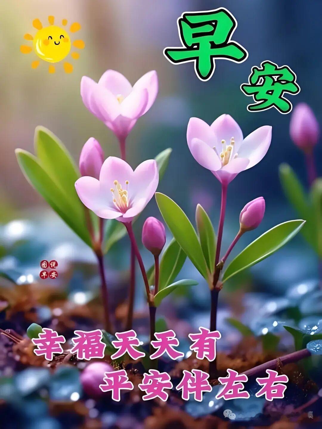 一句话概括，幸福是什么⊙∀⊙？幸福就是平安健康，平安健康就是幸福，祝大家日日平安