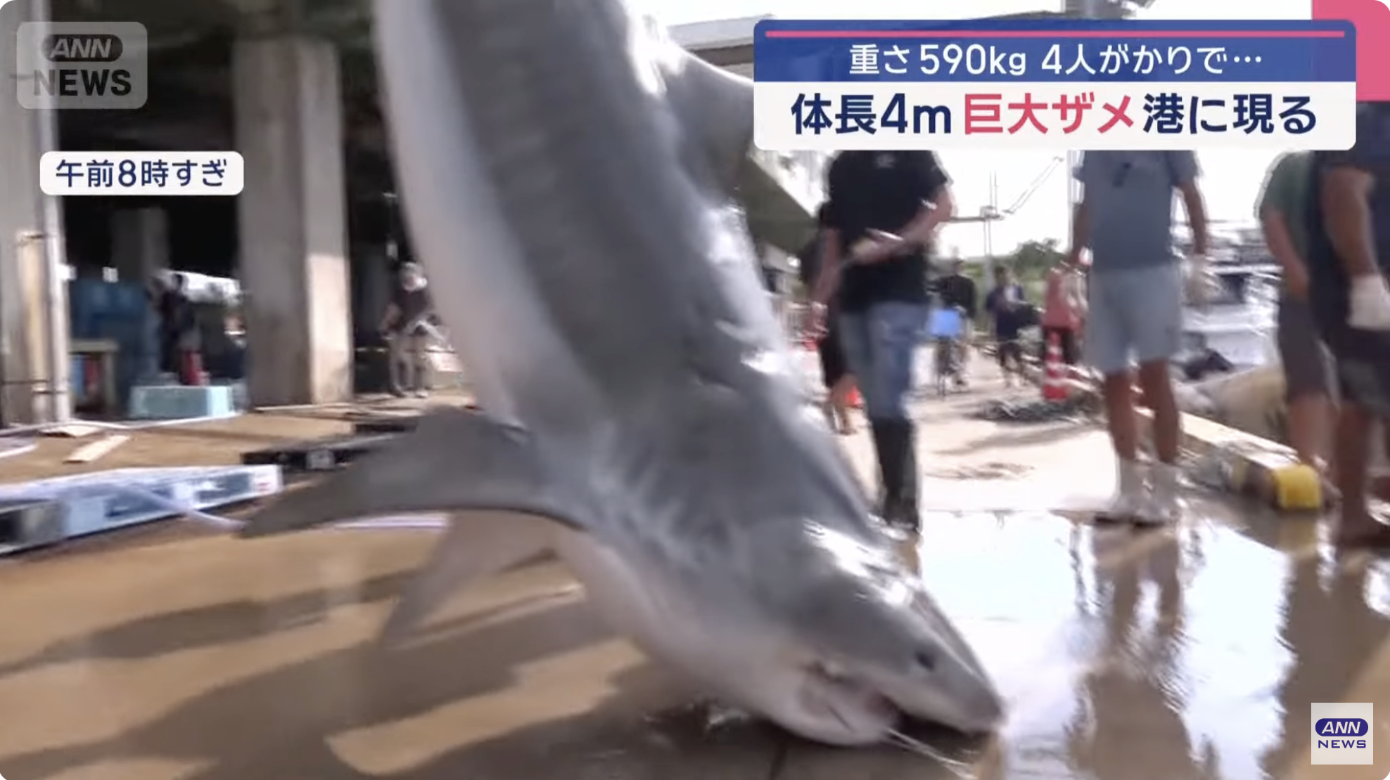 分享圖片 ​​​