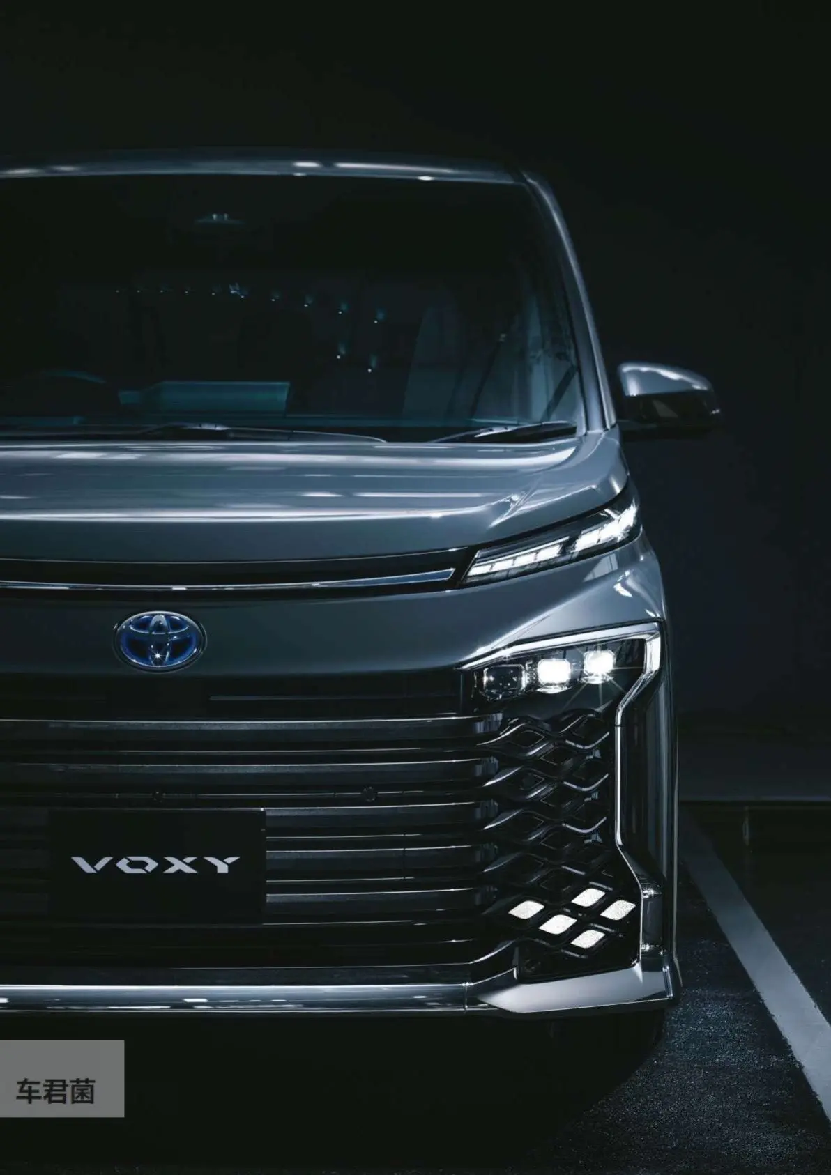 日系小霸王。Suzuki Landy/Toyota Voxy