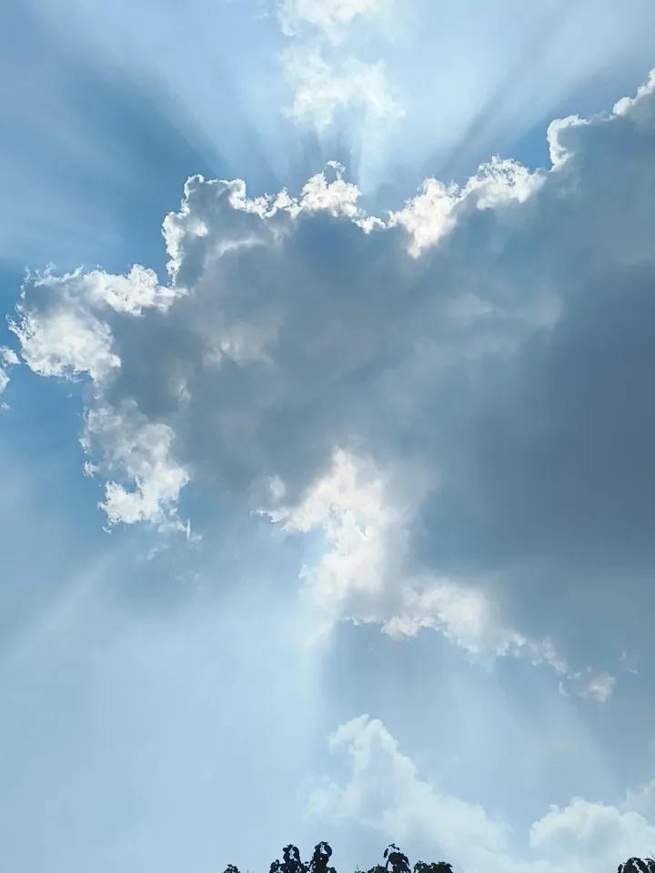 《邻居之间》那些事！
在乡下老家，邻里之间都是晚上拿个马扎或板凳，带个蒲扇在大街