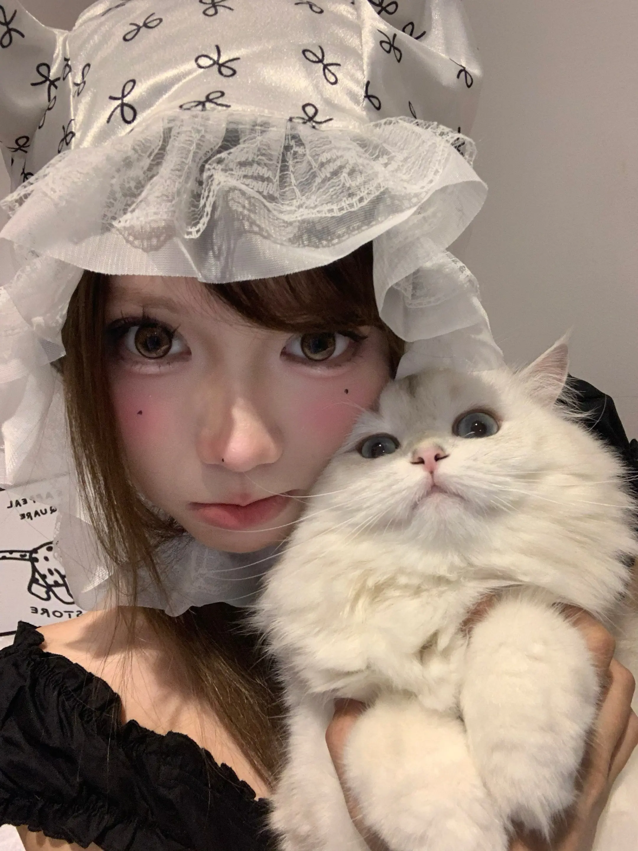 🐈‍⬛。