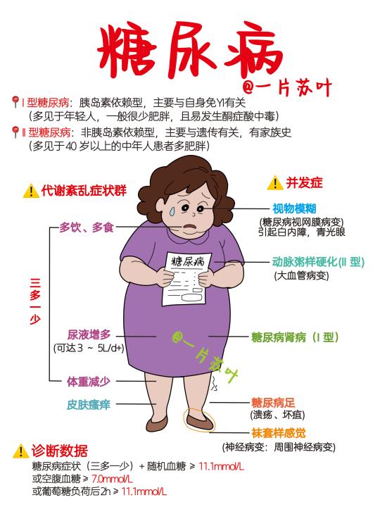 护士笔记✅糖尿病📕内科护理学‼️