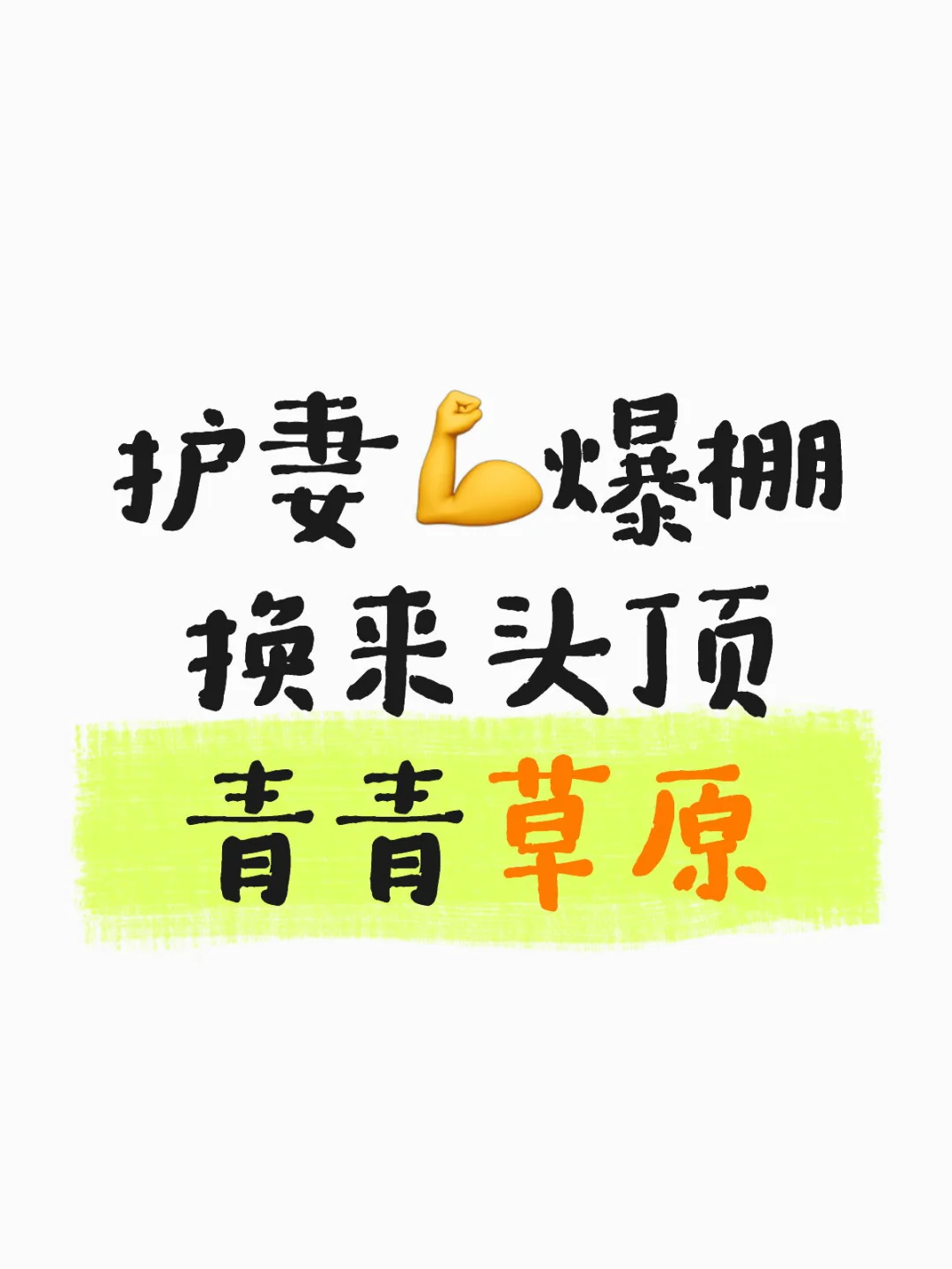 开庭记：护妻爆棚，换来头顶青青草原！