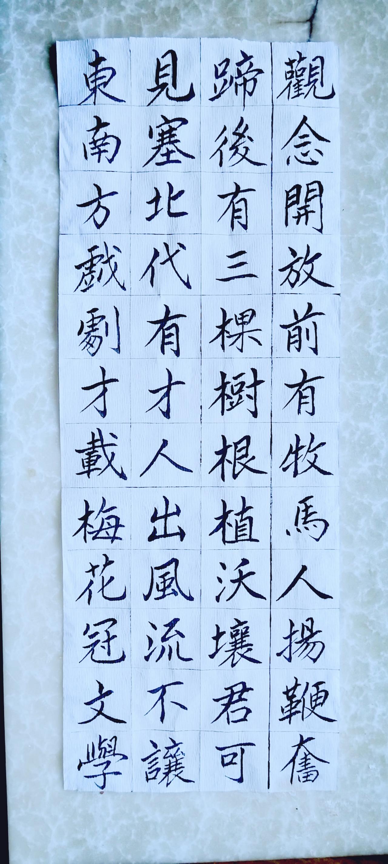 第九十一天《宁夏赋》（14）正楷毛笔练习