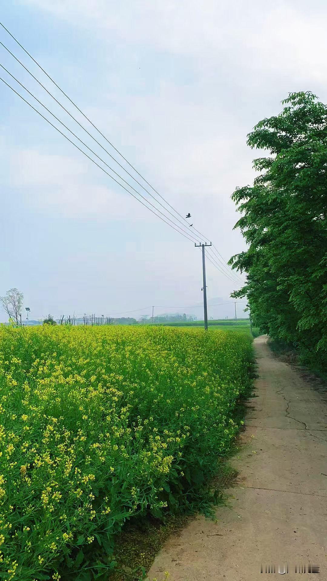 老家的瓦房是祖上传下来的，翻新时特意留着木梁和青瓦，下雨时能听见雨珠敲在瓦片上的