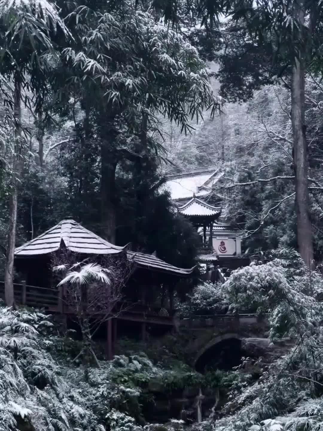 “众所周知，《剑来》又名《国师传》！”