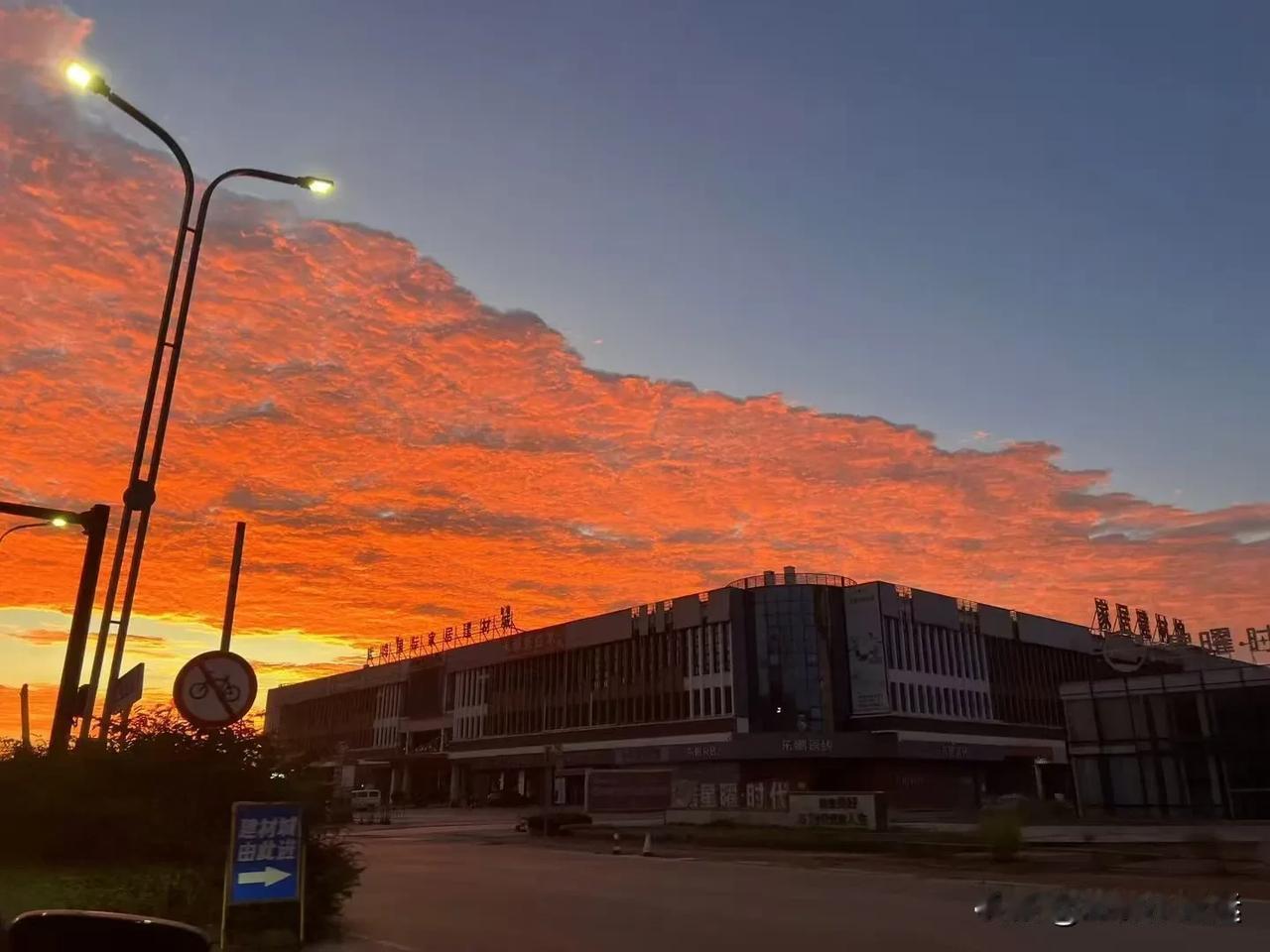 早起的牛马—朝霞