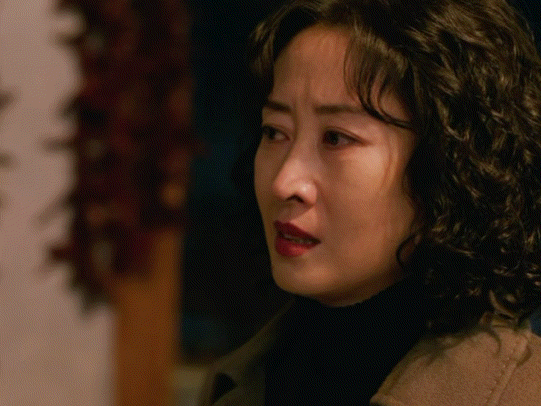 刘敏涛上一个这么恨的还是容嬷嬷刘敏涛眼皮一翻就切号 葛文君这个人设配上刘敏涛的演