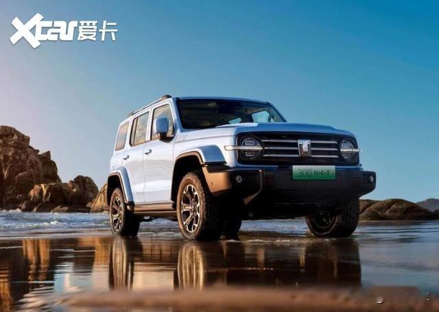 先说新车，全部落地控制在30万以内。
 
坦克300 Hi4‑T，卖得最火的一台