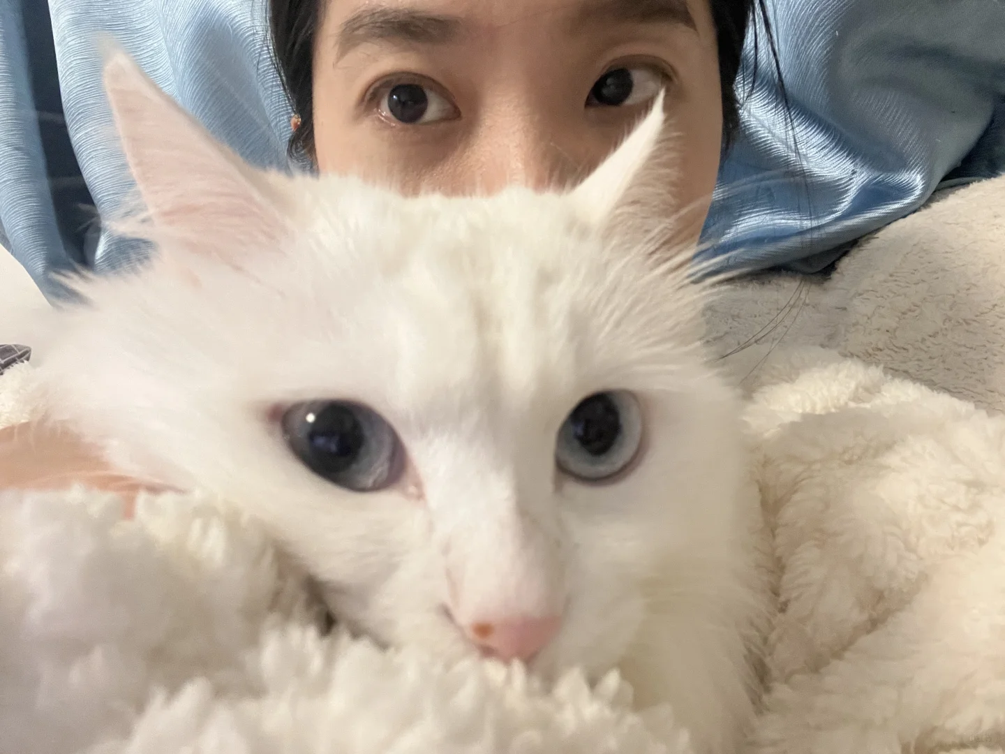 啵啵盯