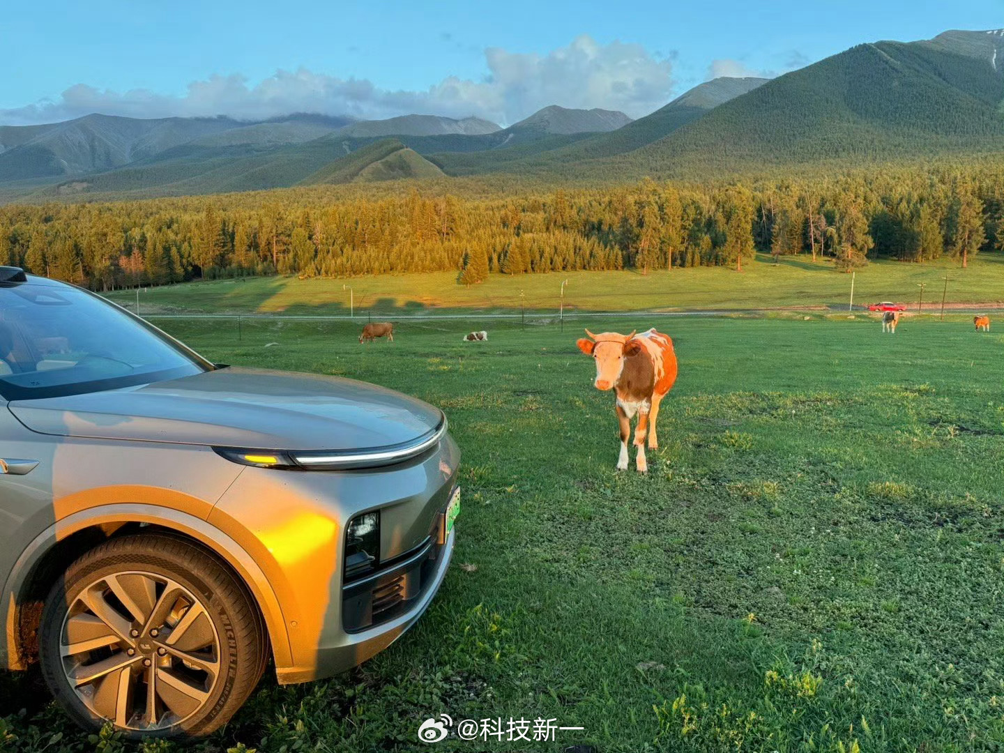 早安，想去新疆了。。。。 