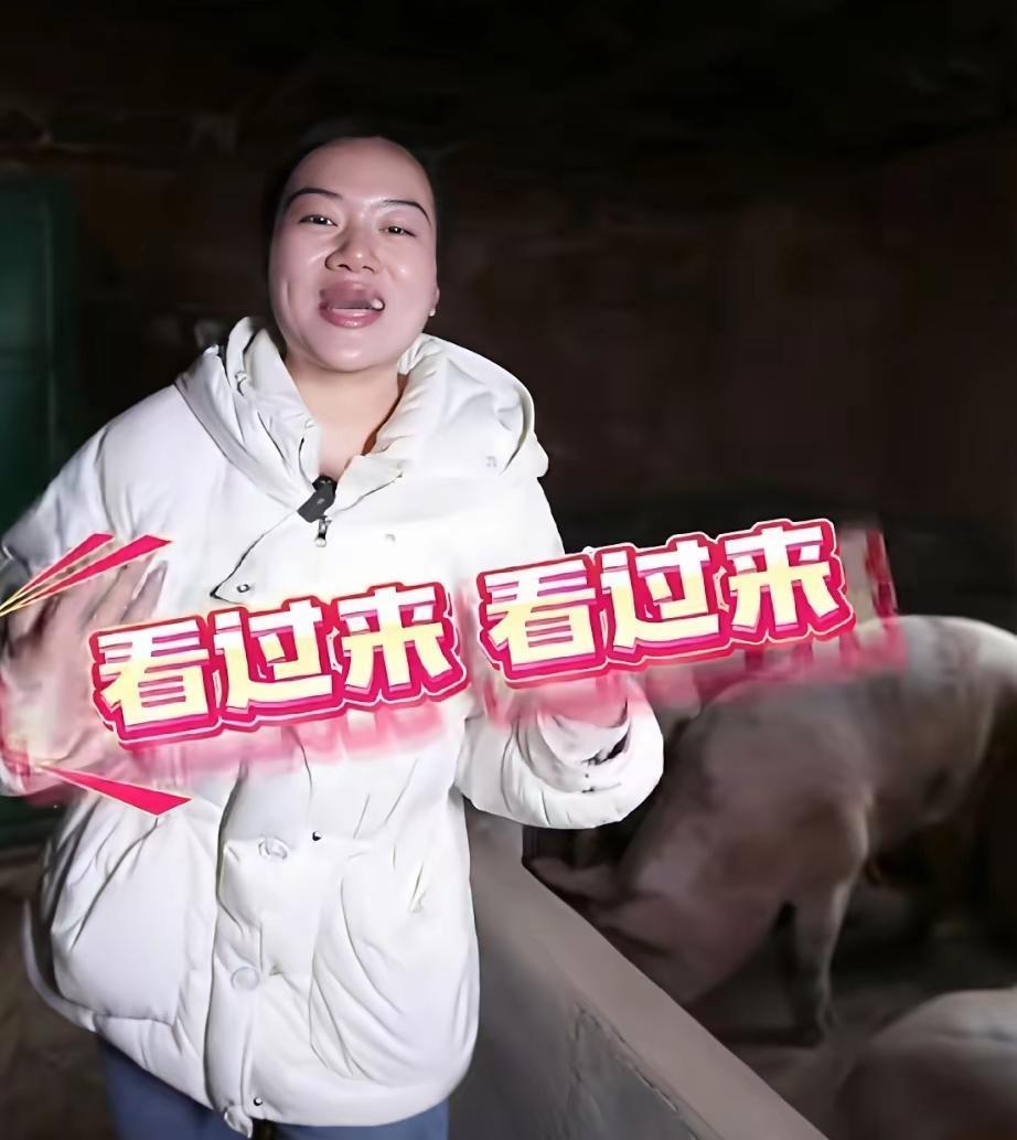 这杀猪宴的后劲太大了！
合川呆呆一场杀猪宴火爆网络后，跟风的络绎不绝，光是今天刚