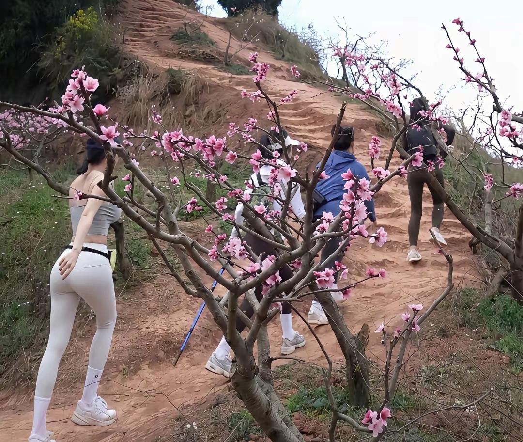 爬了一天的山，有什么问题尽管的问吧？