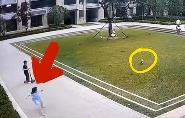 “这就是遛狗不拴绳的下场！”浙江杭州，一女子在小区里遛狗没牵绳，吓到了在小区玩耍