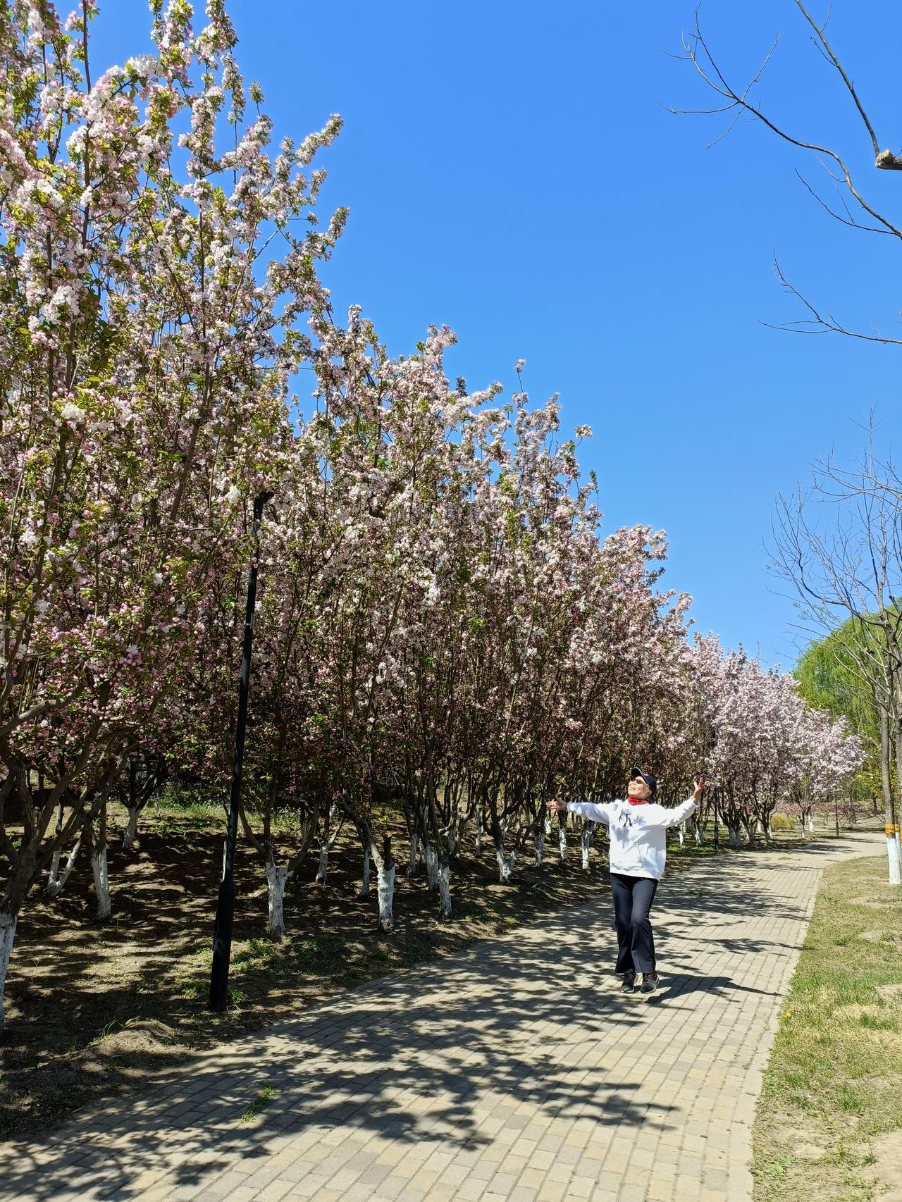 人生没有十全十美，但在健康和财富之间，我还是选择健康，只要有一个健康的身体，一切