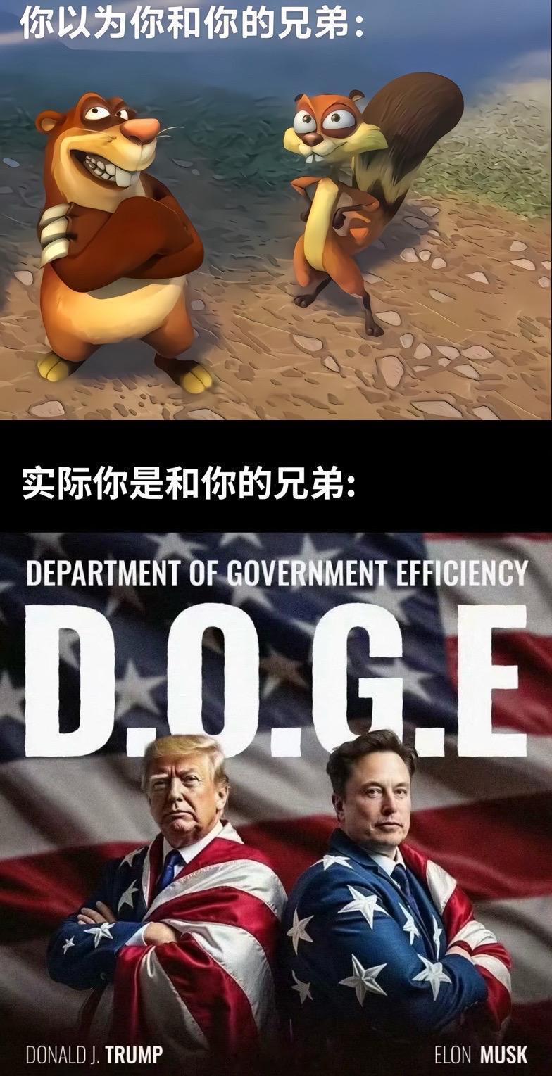 绝地翻盘 特朗普 马斯克 ​​​