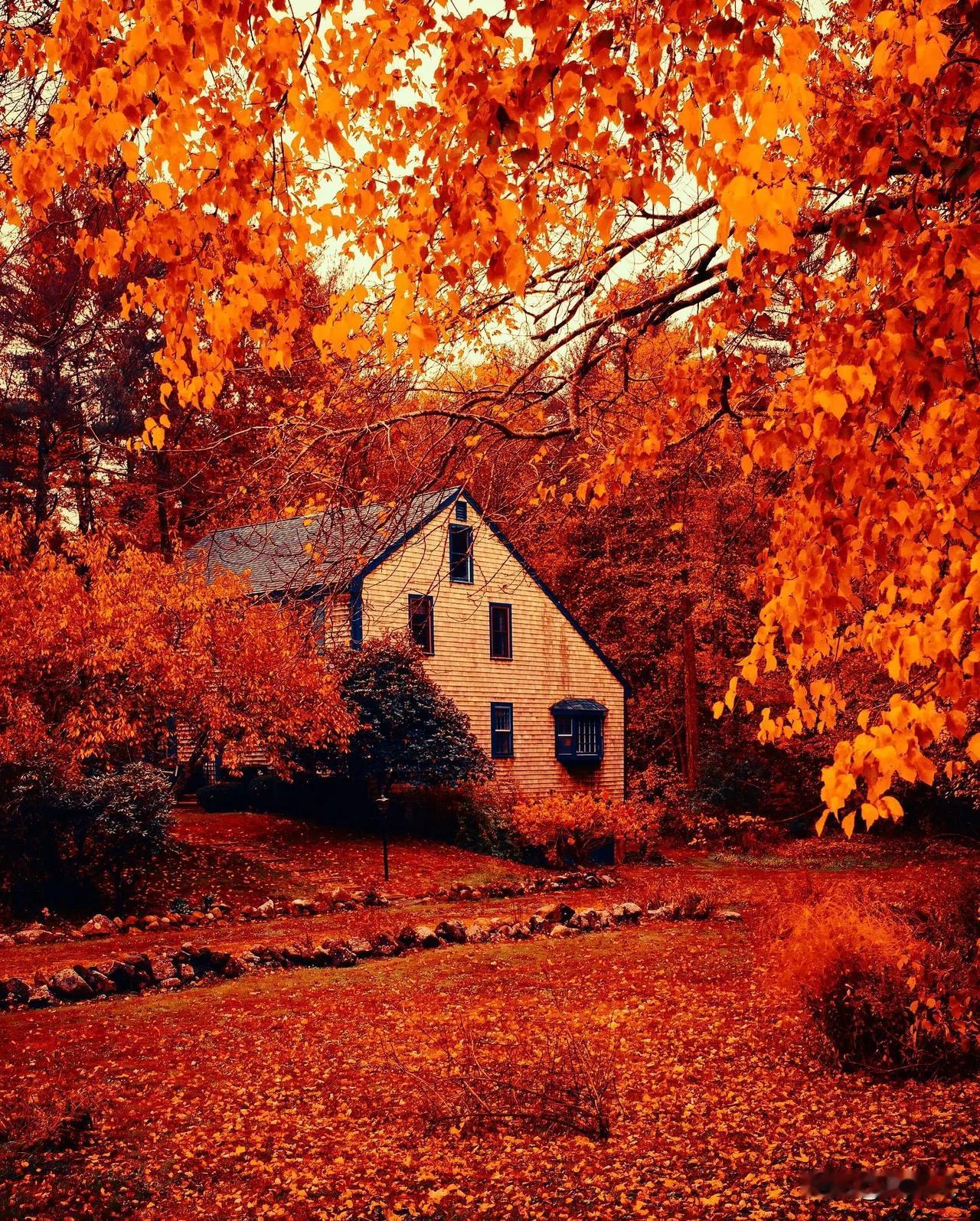摄影师Gregory Roache丨Boston镜头下的美丽秋景。🍁