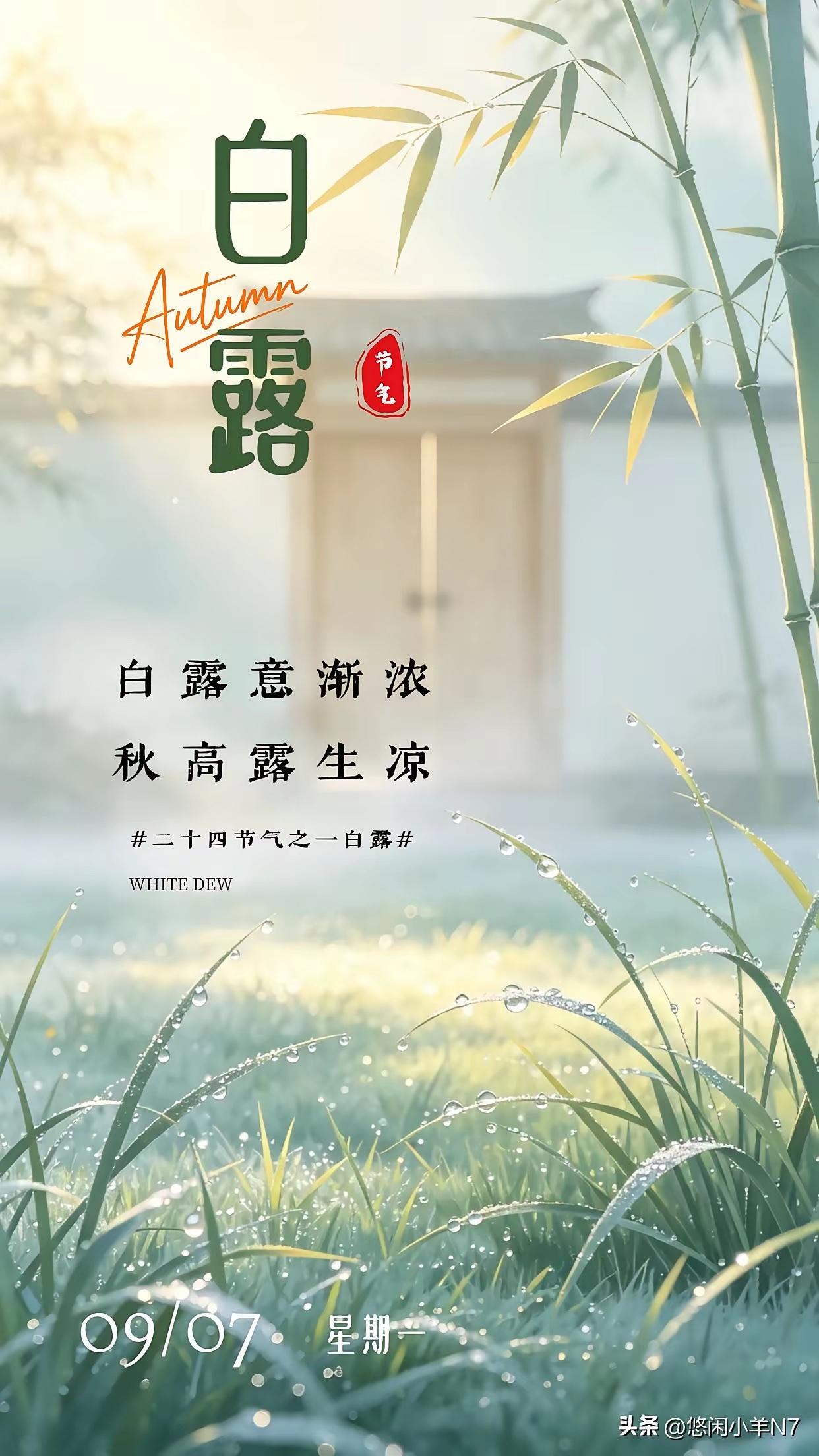 蒹葭苍苍白露为霜，所谓伊人在水一方
