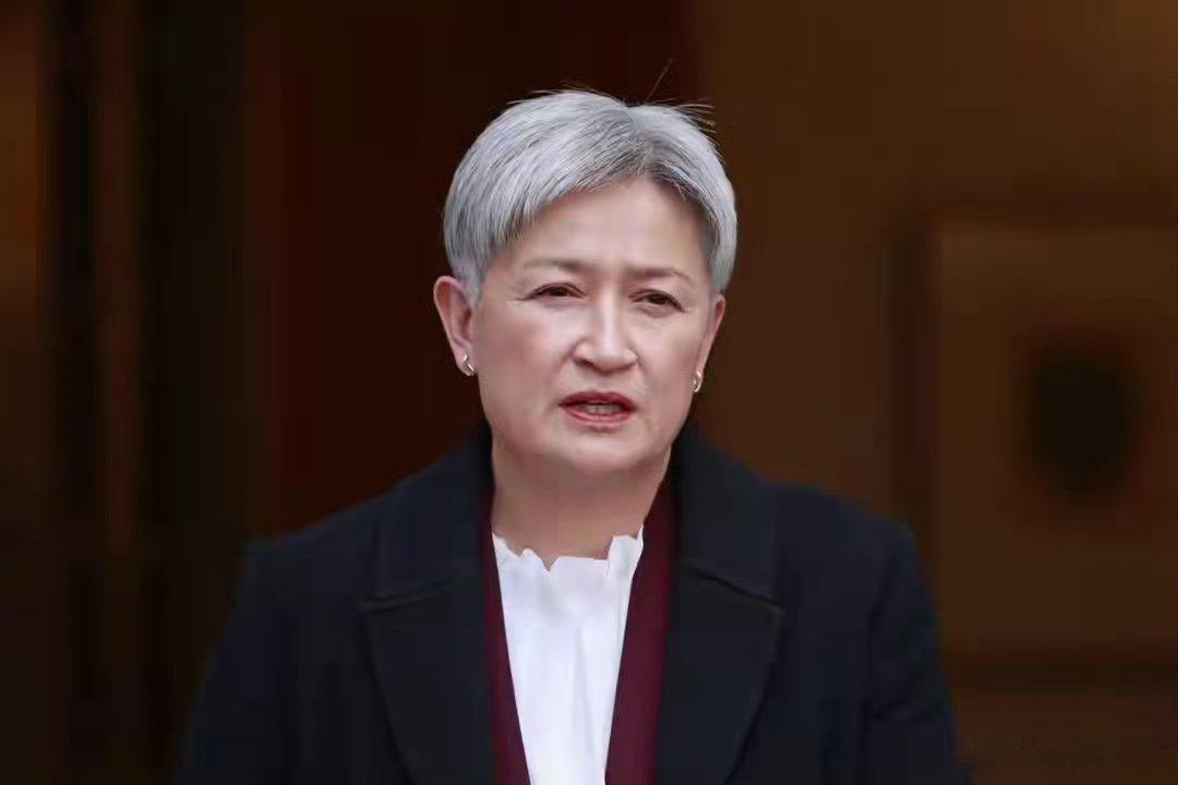 澳大利亚外长黄英贤:中国军力增长也太快了，你这让我们怎么追？必须给个解释！ 
