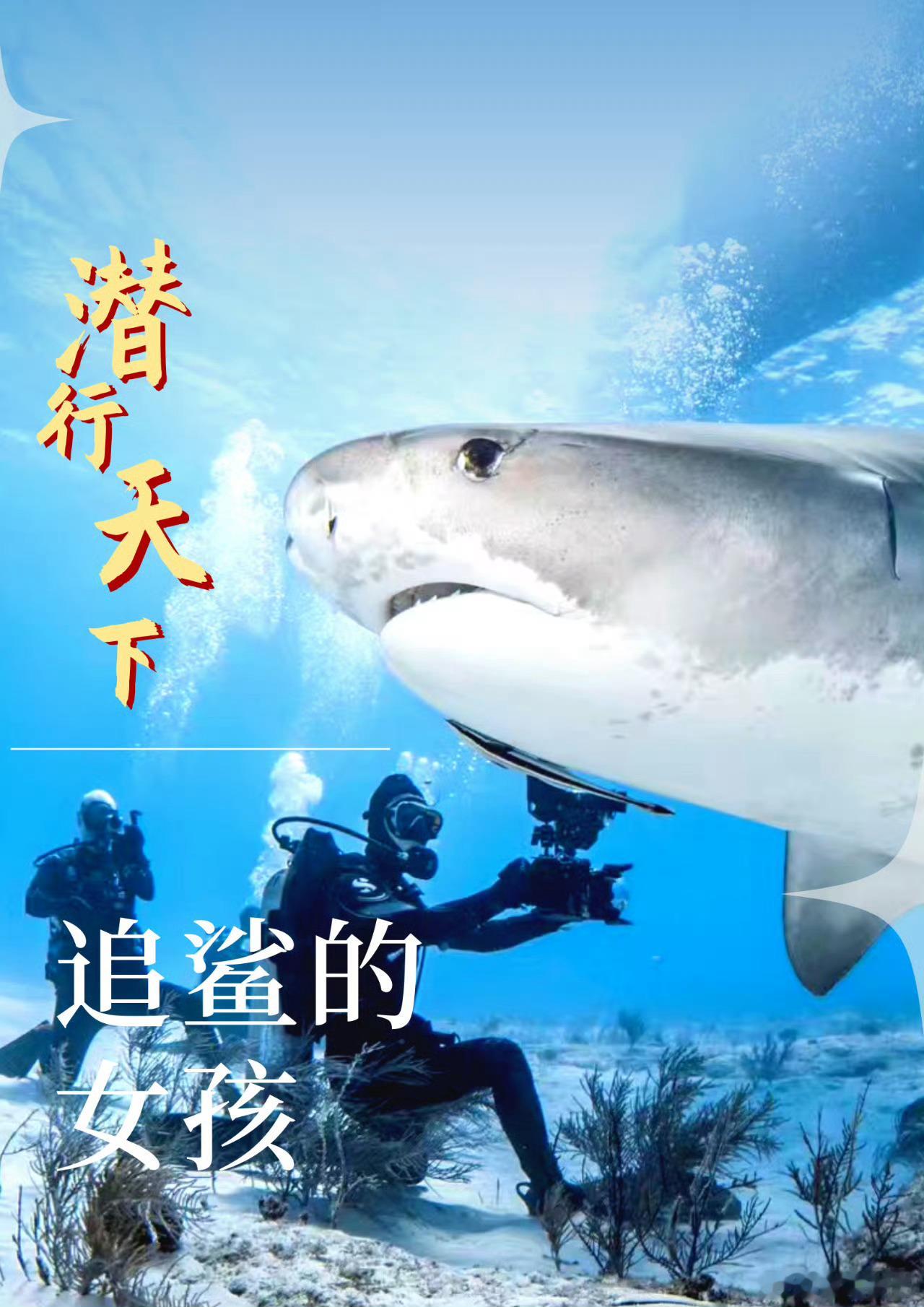 投行女生弃百万年薪转行追拍鲨鱼投行、百万年薪、追拍鲨鱼，这三个词摆在一起本身就是