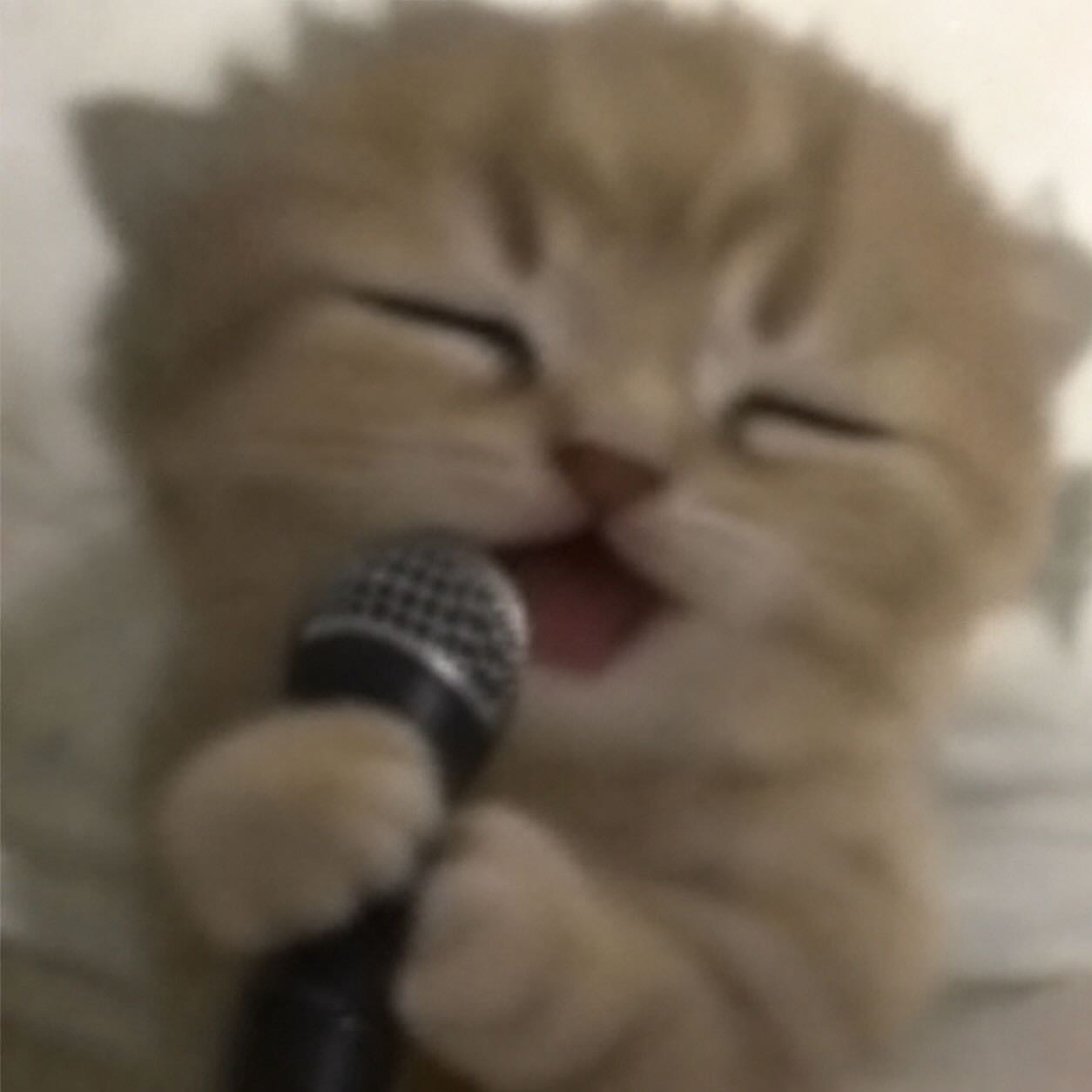 我宝子 ​​​