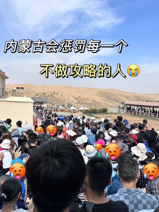 去了3次内蒙古回来（我的建议是）