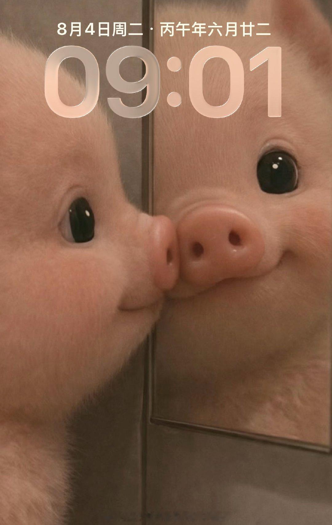 微笑面对每一天🤓生活手记