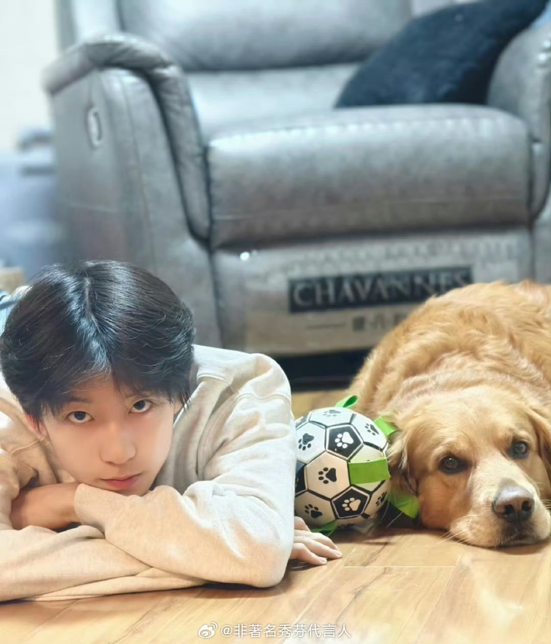 杨博文晒狗杨博文真是来到了最佳赏味期 