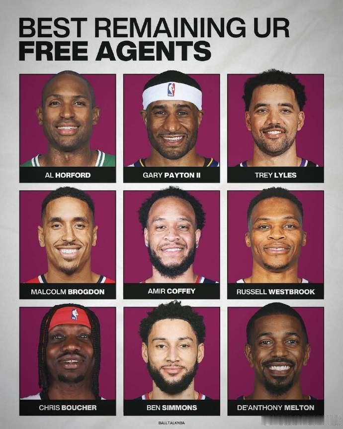 NBA自由市场目前剩存的知名自由球员：

霍福德、小佩顿、莱尔斯、布罗格登、科菲