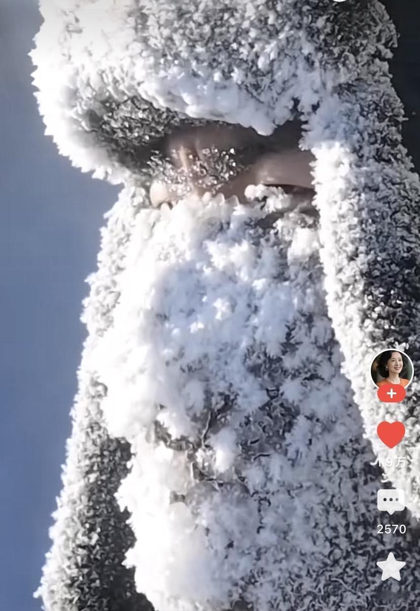 看着这些为人民守卫边疆的战士们真的好心疼，谢谢你们的付出与守护[祈祷]人民子弟兵