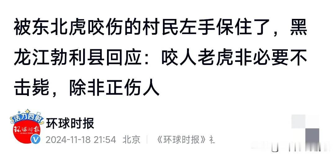 真的是太吓人了，老虎实在是太凶猛了，真的感受到了那种猛虎下山的气势，11月18日