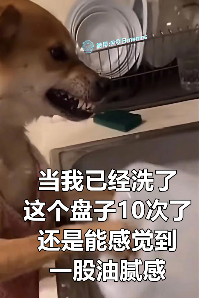 死（9gag）今日meme今日memes