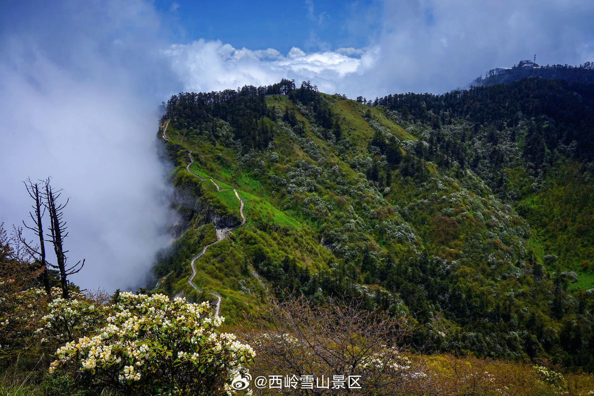 🌿山愈高，景愈阔山势越高，越能尽收蜀地山野壮阔风光。缓步登山，舒展身心，沉浸式