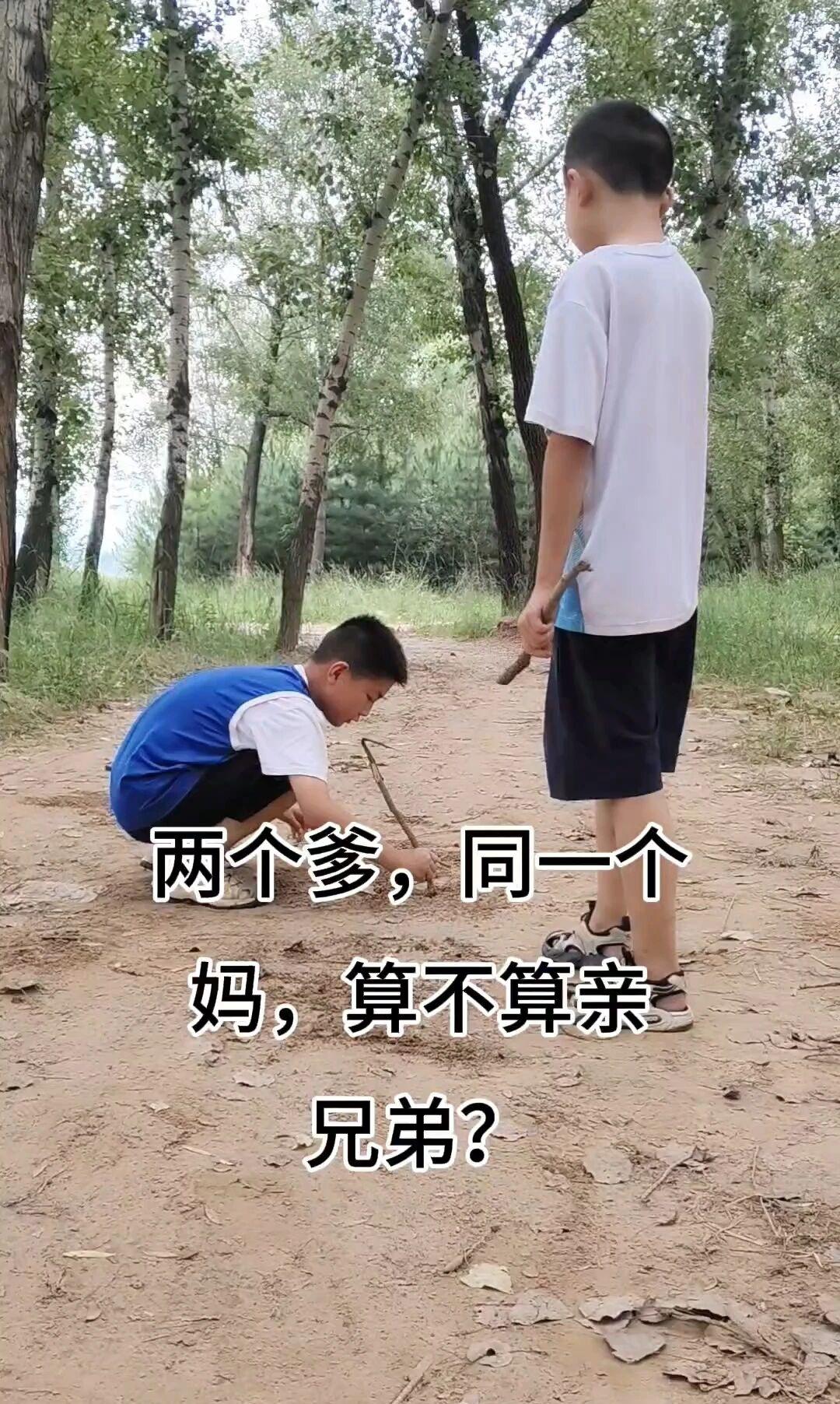 问大家个问题，两个孩子同一个母亲，父亲却不同，这样的他们算亲兄弟吗？
就为这事儿
