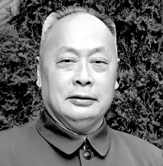 陈毅出差刚好路过成都，便想停留几天去看望父母，没想到贺炳炎却说：“老总，我得向你