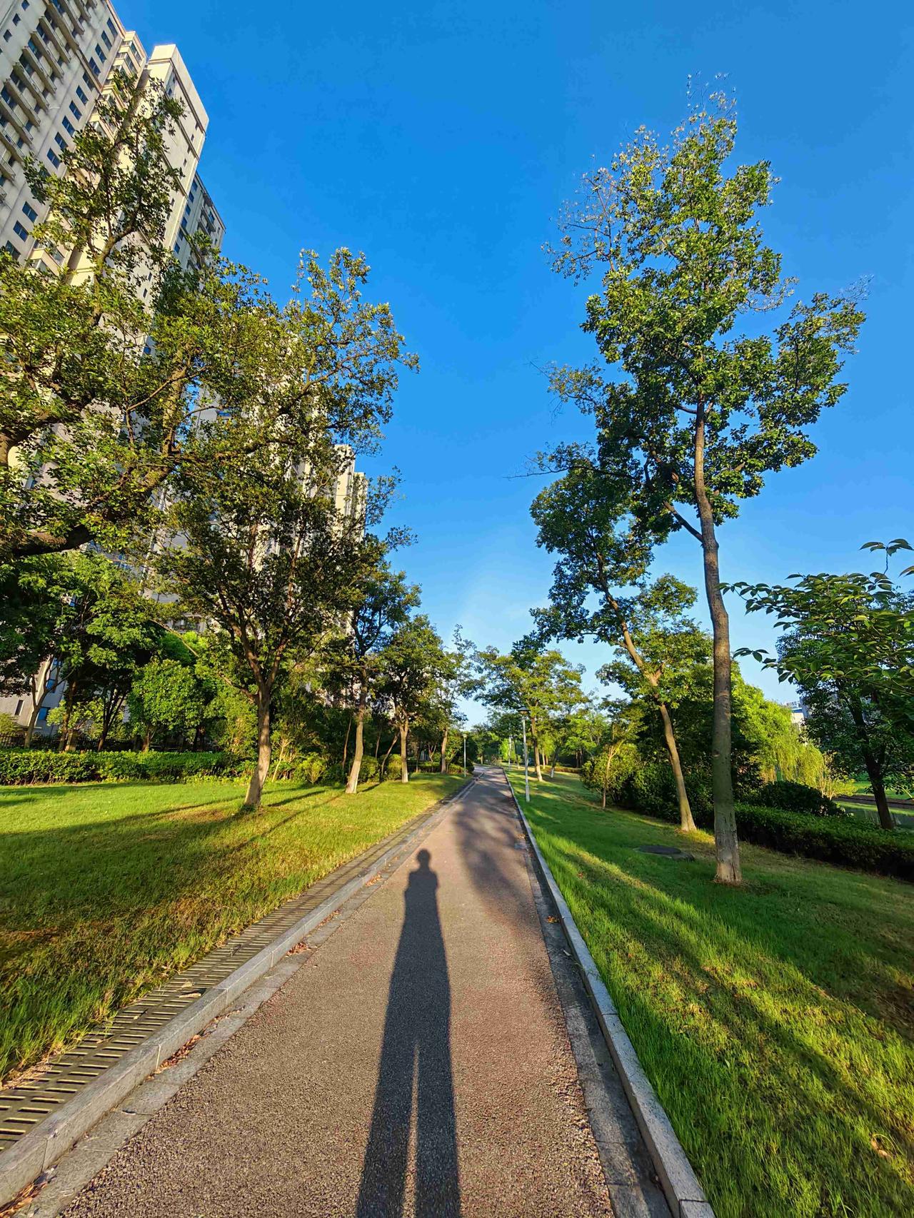 我的今日状态：🏃‍➡️运动
我这里的天气：☀️晴天