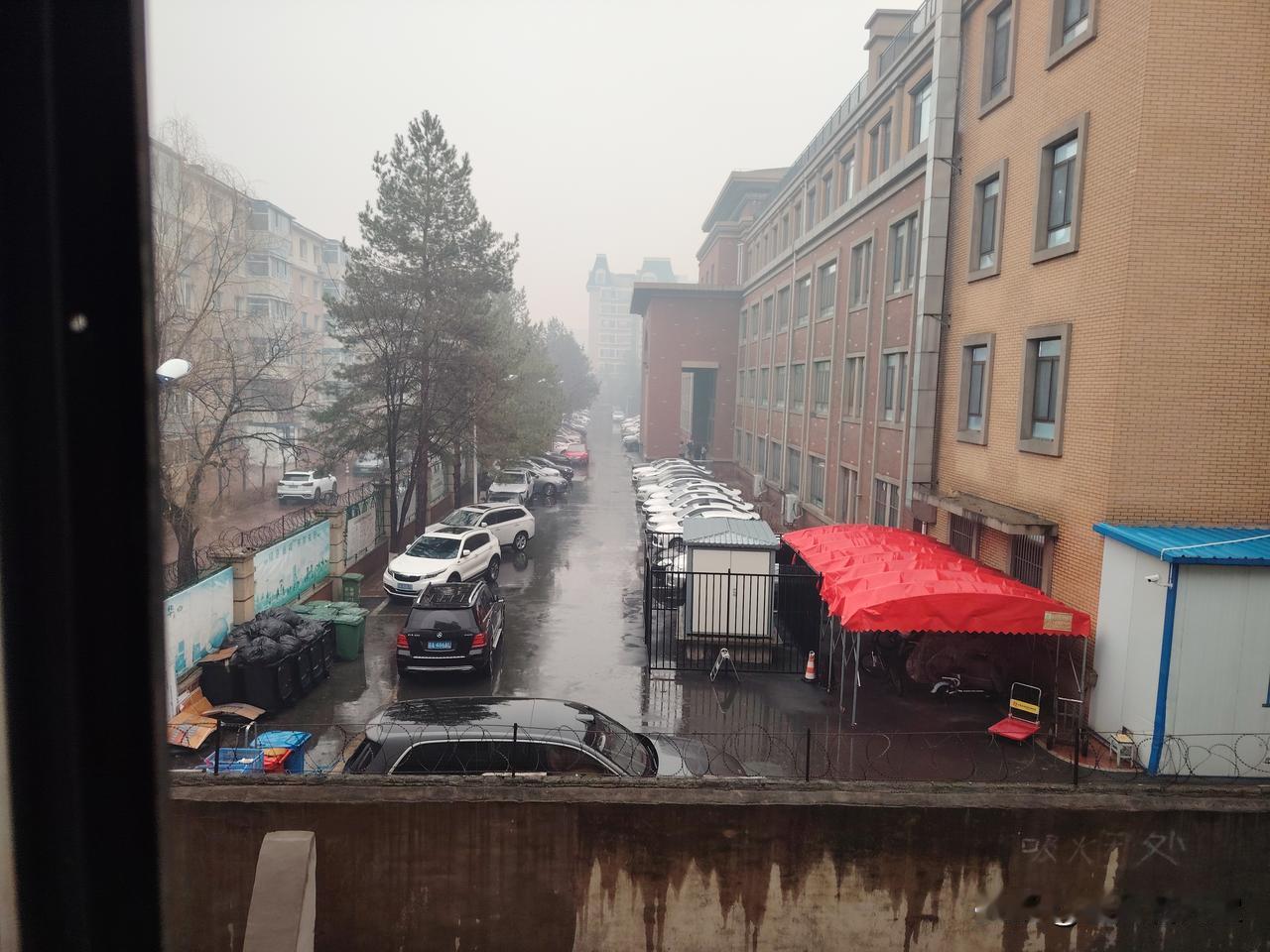 七律   清明雨

雨暗清明淋断客，柳烟低锁冢边青。
风飘素纸钱飞白，泪湿碑痕藓