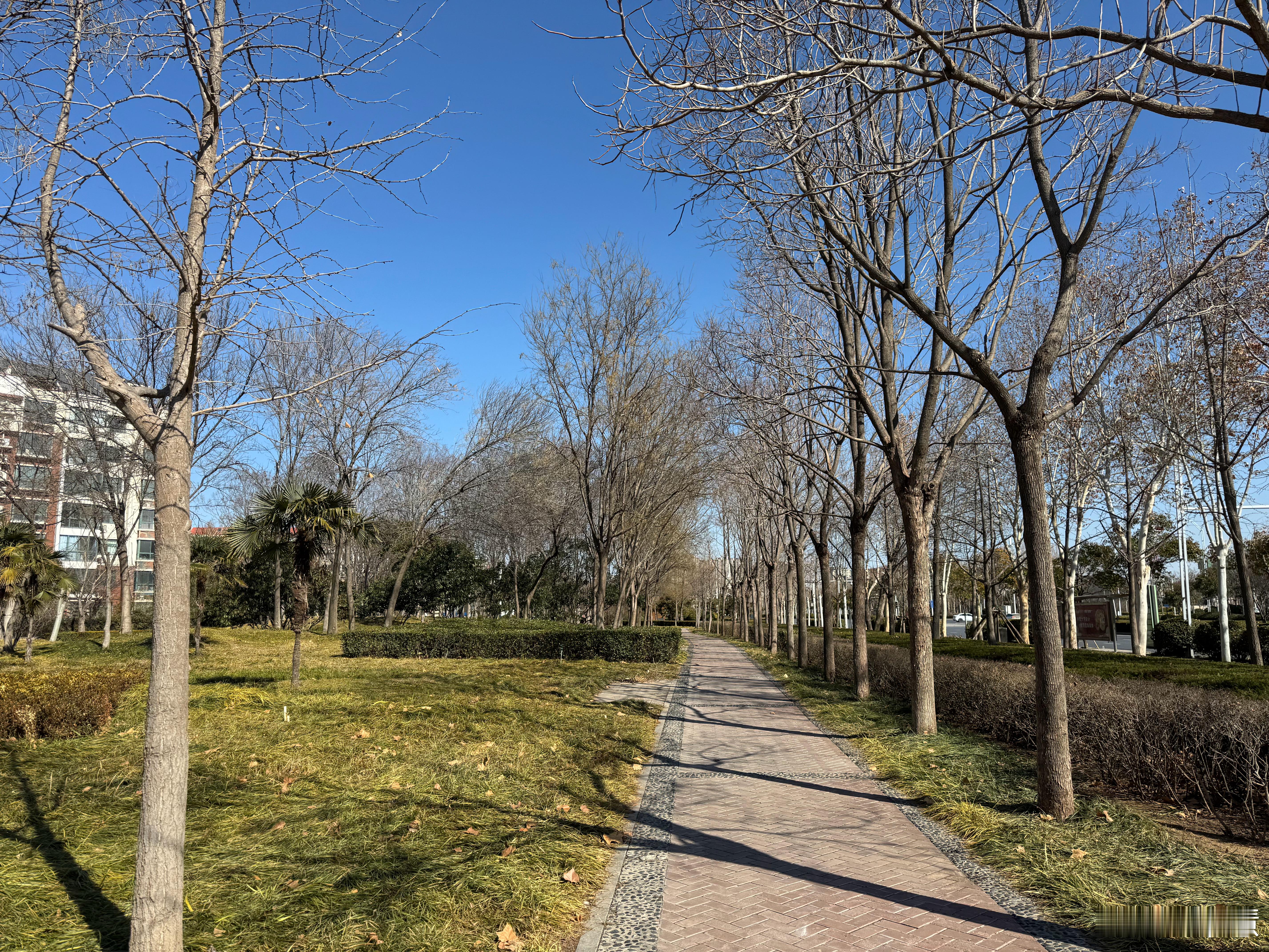 跑步  坚持运动打卡  天气晴朗，却依旧抵挡不住那零下1度的寒意，但我依然完成了