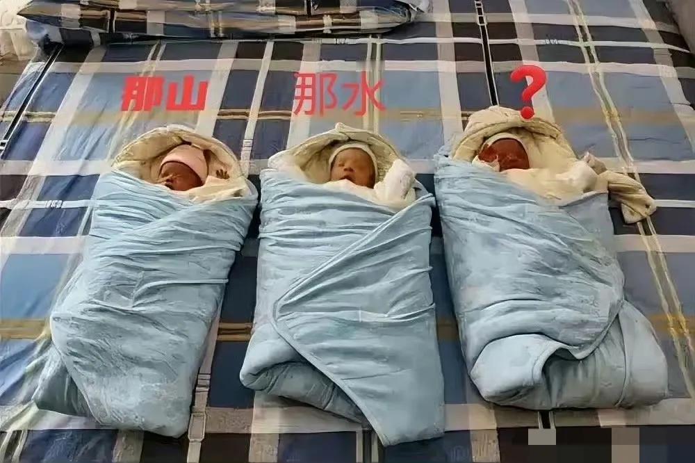 网友帮忙给老三想个名字，最好三兄妹相呼应