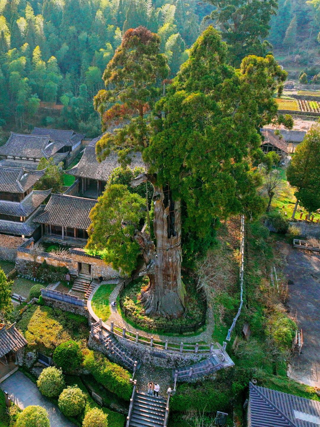 去看千年前的「时思寺」和藏在山里的古村落
