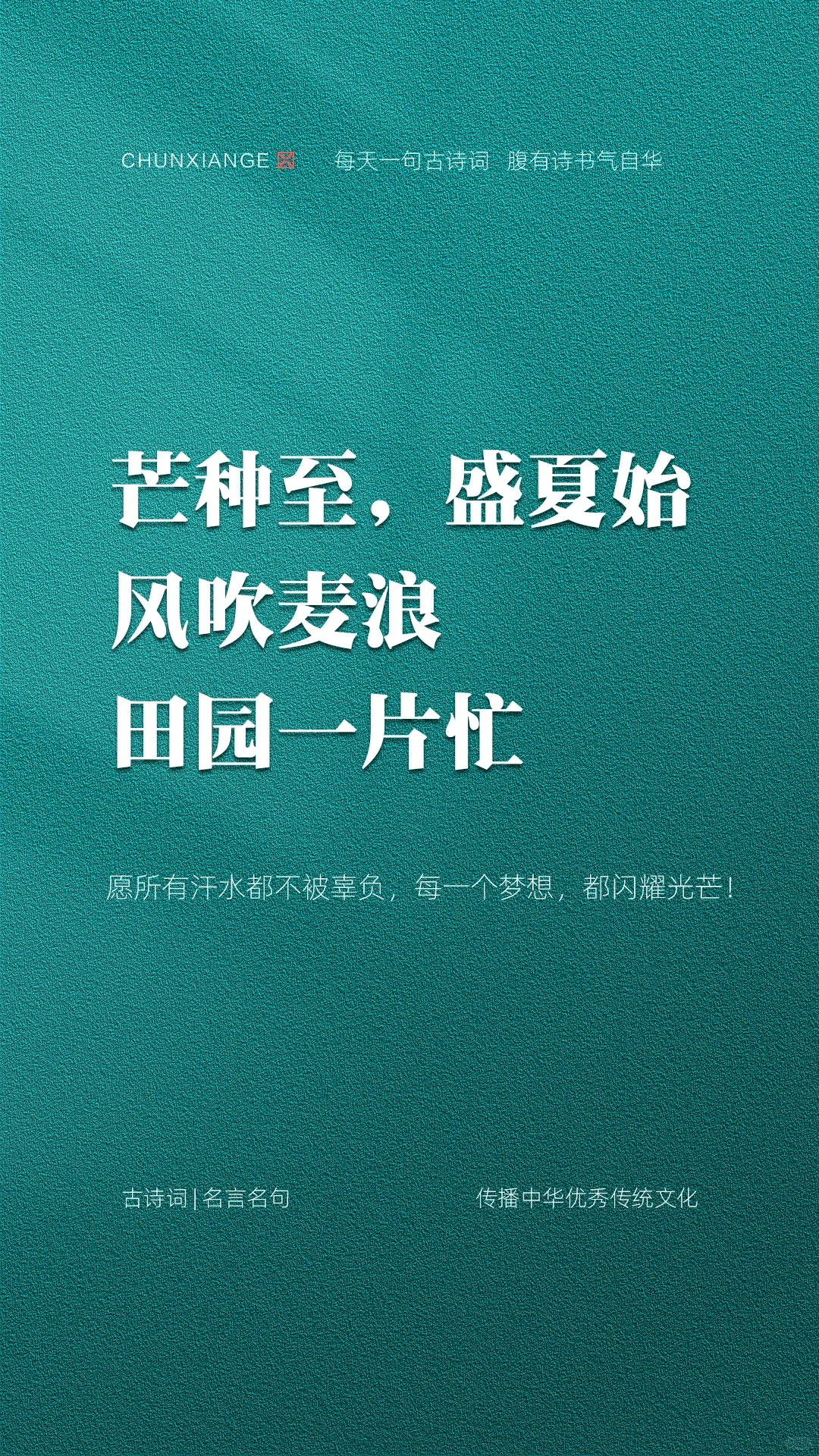 芒种至，盛夏始，风吹麦浪田园一片忙。