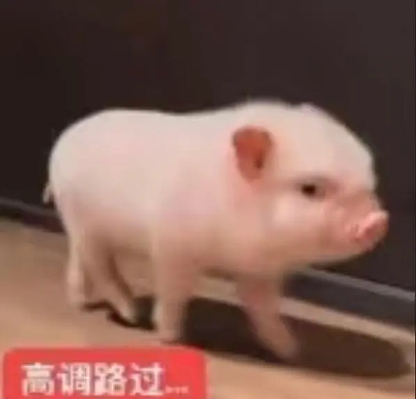 事实上是我到现在都没睡过觉 