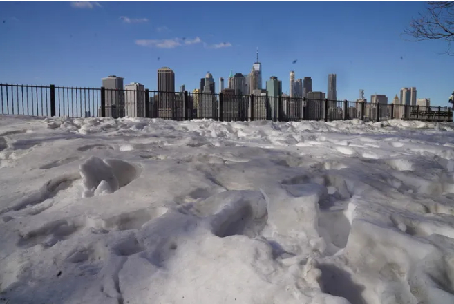 #美国再现天降蜥蜴奇观#【美国佛州，“天降蜥蜴”】美国东南部地区2月1日迎来又一