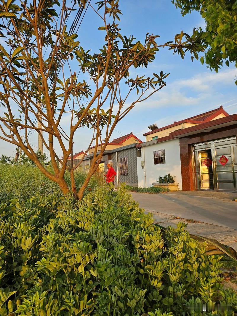 我的家乡好美丽｜藏在皖南的“小九寨”🌿

配图：手机直拍，无滤镜！清晨6点的青