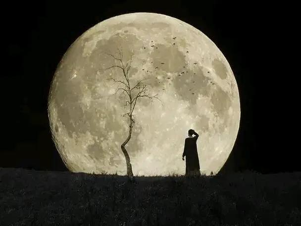 上联：对月长叹，萍身没个安排处；
下联：？？？