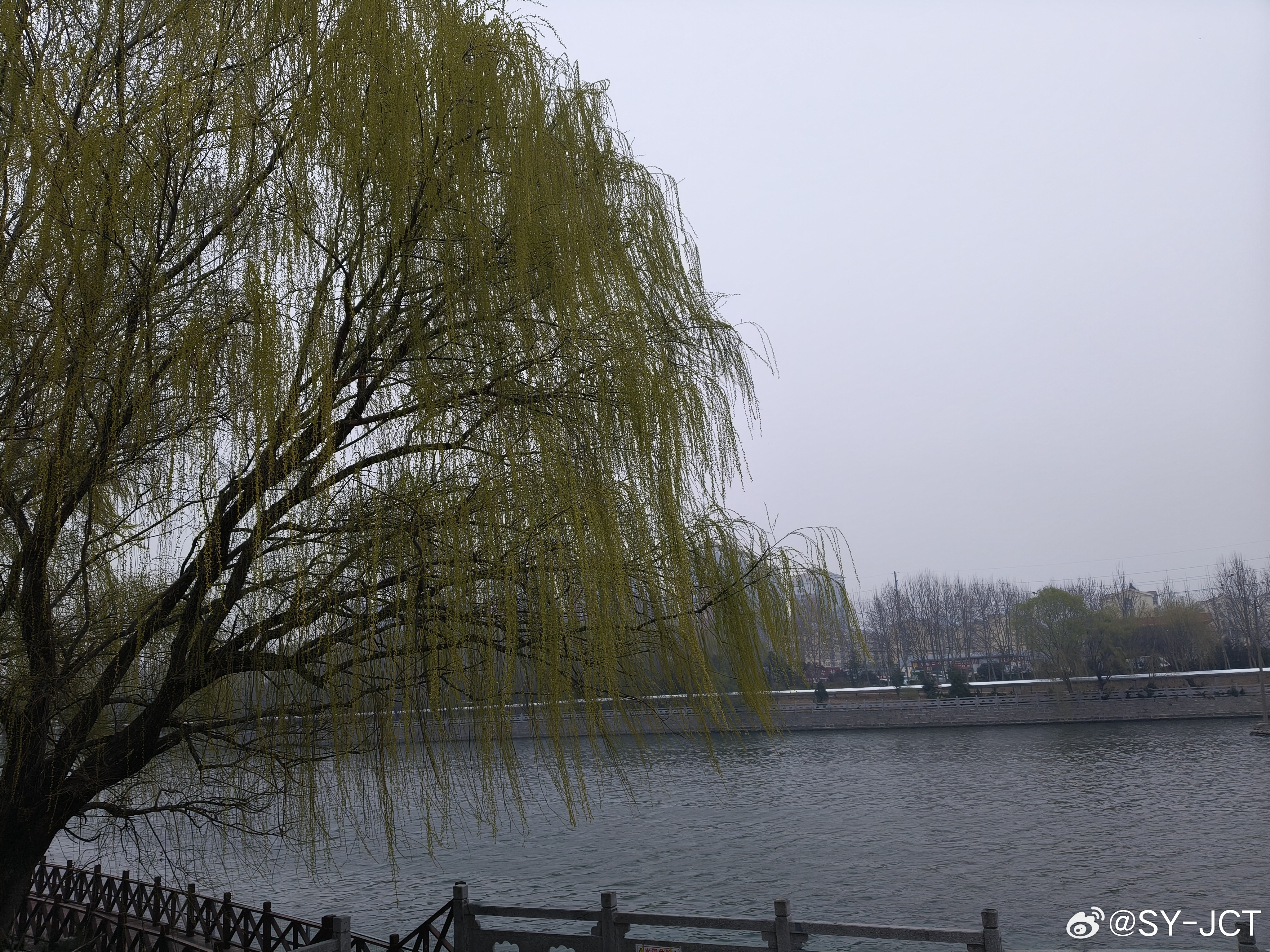 二月春风似剪刀，春风又绿沿河岸 